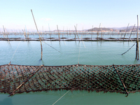 전남, 기업인․어업인 불합리한 규제 ‘혁신’