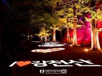 순창 강천산, 여름밤 특별한 매력 선사