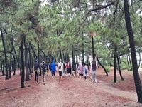 동해선 개통, 강릉 관광의 새로운 도약