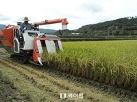 쌀 생산조정제 겉돈다
