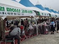 진안고원 마이산 고추시장 8월 4일 개최