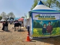 고창군, 고창청보리밭축제에서 이색 체험 이벤트 진행! 