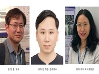 김도환 교수팀, 귀금속 없는 수소 생산 혁신 기술 개발