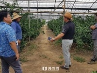 인천, 유관기관 연계 ‘농업재해대책상황실’ 가동