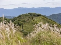 장수군 장안산 억새숲, 산림청‘대규모 산림복원 사업’선정
