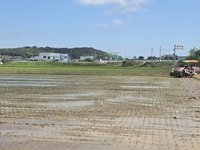부안군, 2026년 첫 모내기 진행